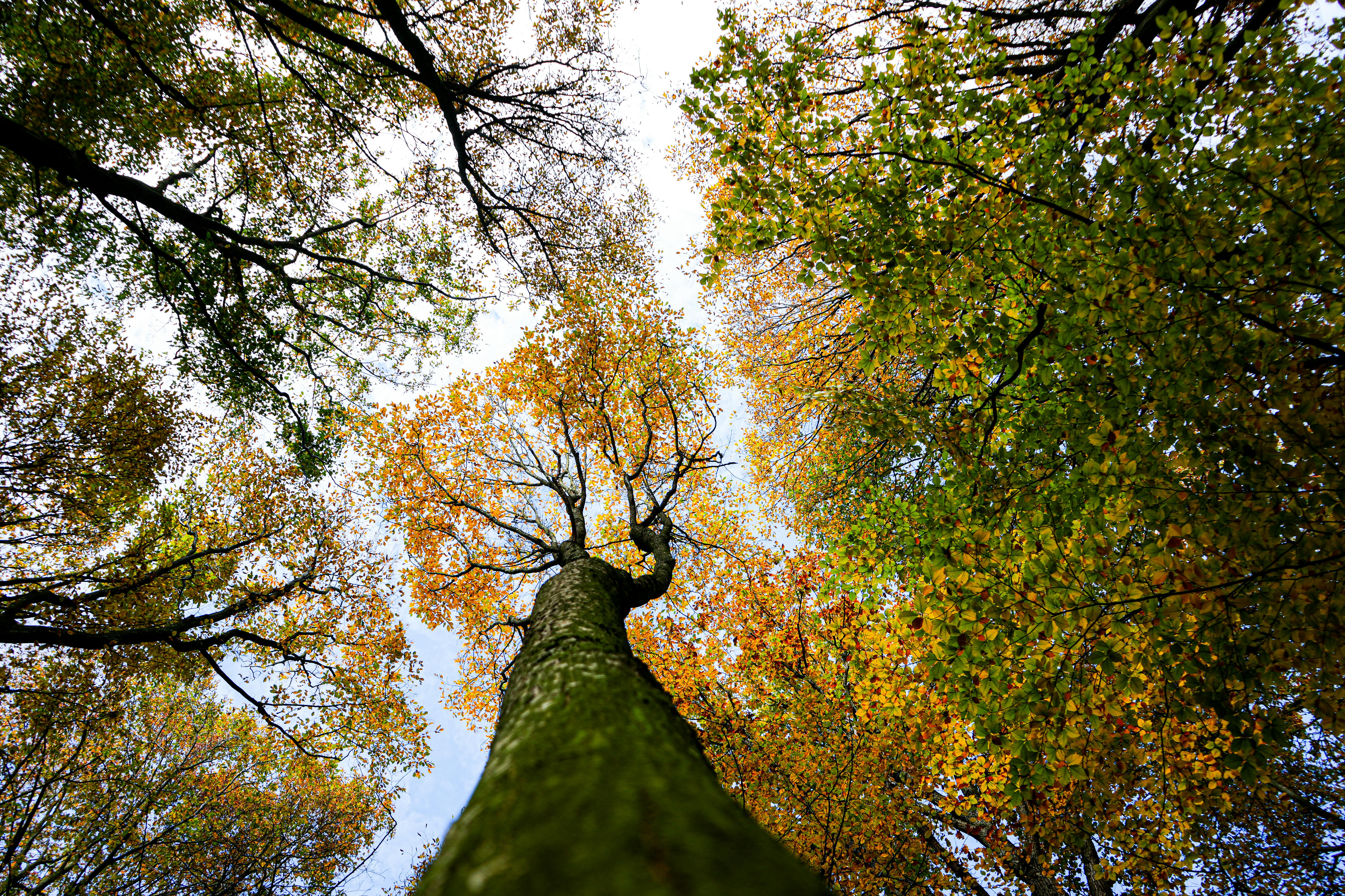 Analytics dashboard showing growth metrics and success indicators